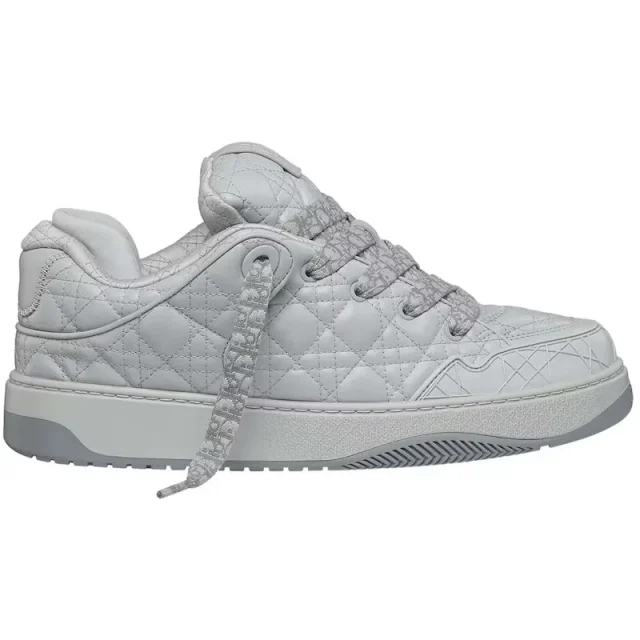 Dior B9S Skater Dior Gray