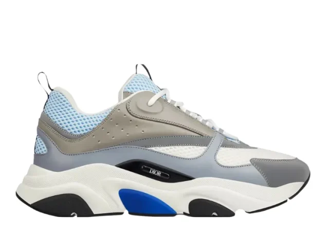 DIOR B22 'WHITE BLUE'