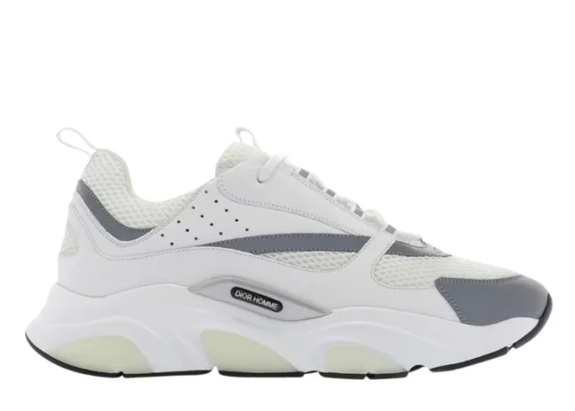 DIOR B22 'WHITE GREY'